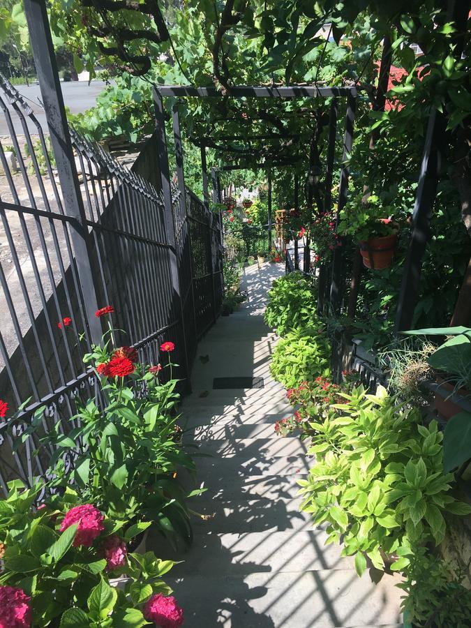 Sara Guesthouse Berat Exterior photo